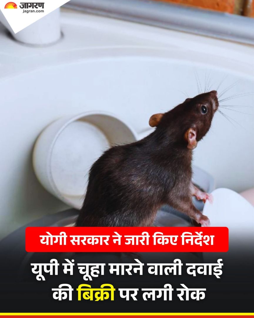 रैटोल पेस्ट' आदि की बिक्री पर तत्काल प्रभाव से रोक लगा दी