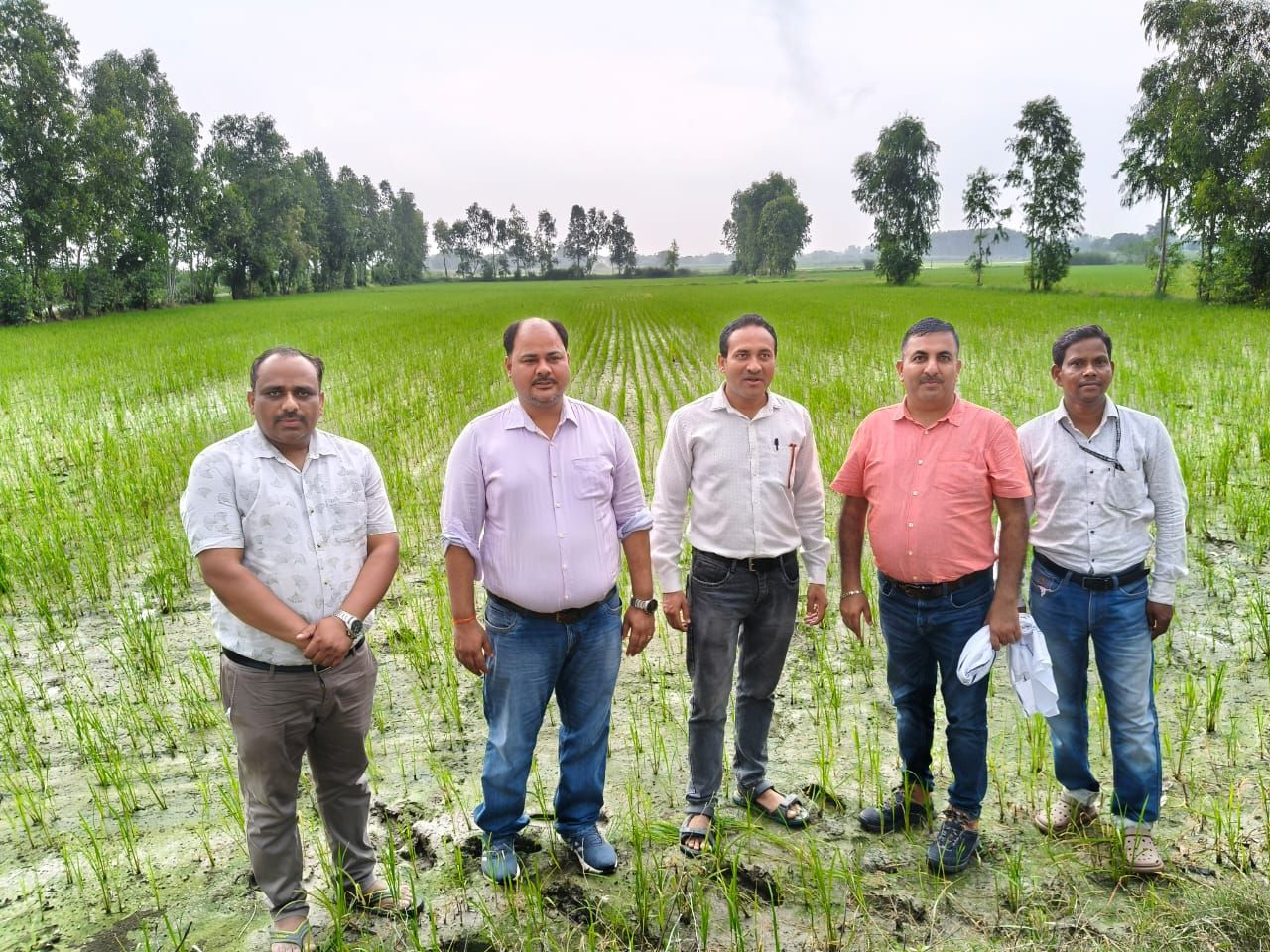 C  धान की सीधी बुवाई वाले खेतों का वैज्ञानिकों एवं उच्च अधिकारियों ने किया निरीक्षण, किसानों को दिए  महत्वपूर्ण सुझाव