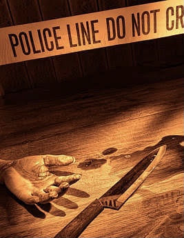 दीपावली की शाम दोस्तों के साथ बांटी मिठाईयां फिर एक ने दूसरे को मार दी गोली