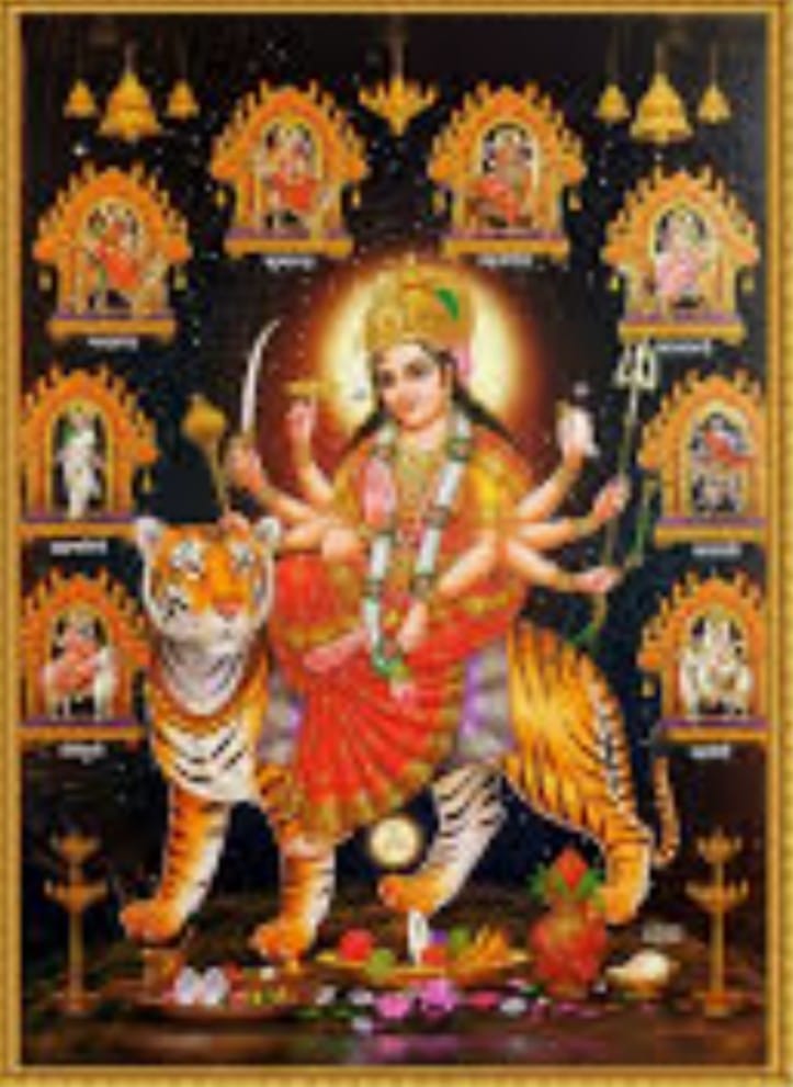 9 औषधियों के पेड़ पौधे जिन्हें नवदुर्गा कहा गया है -देखें..